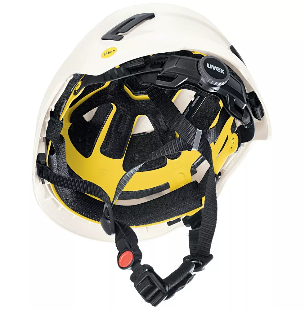 Šalmas UVEX Pronamic Alpine MIPS baltas